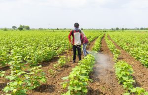 Farmer spraying Roundup