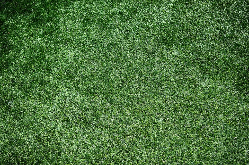 Artificial Turf Cancer Lawsuits Everything You Need To Know Legal Giant